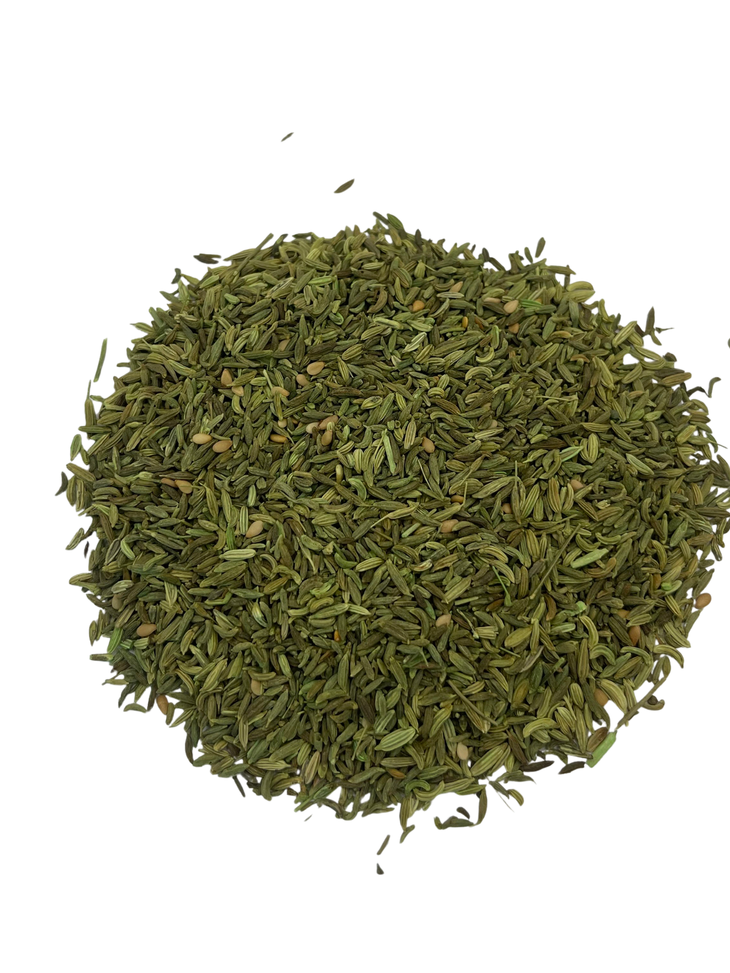 Graine de Fenouil