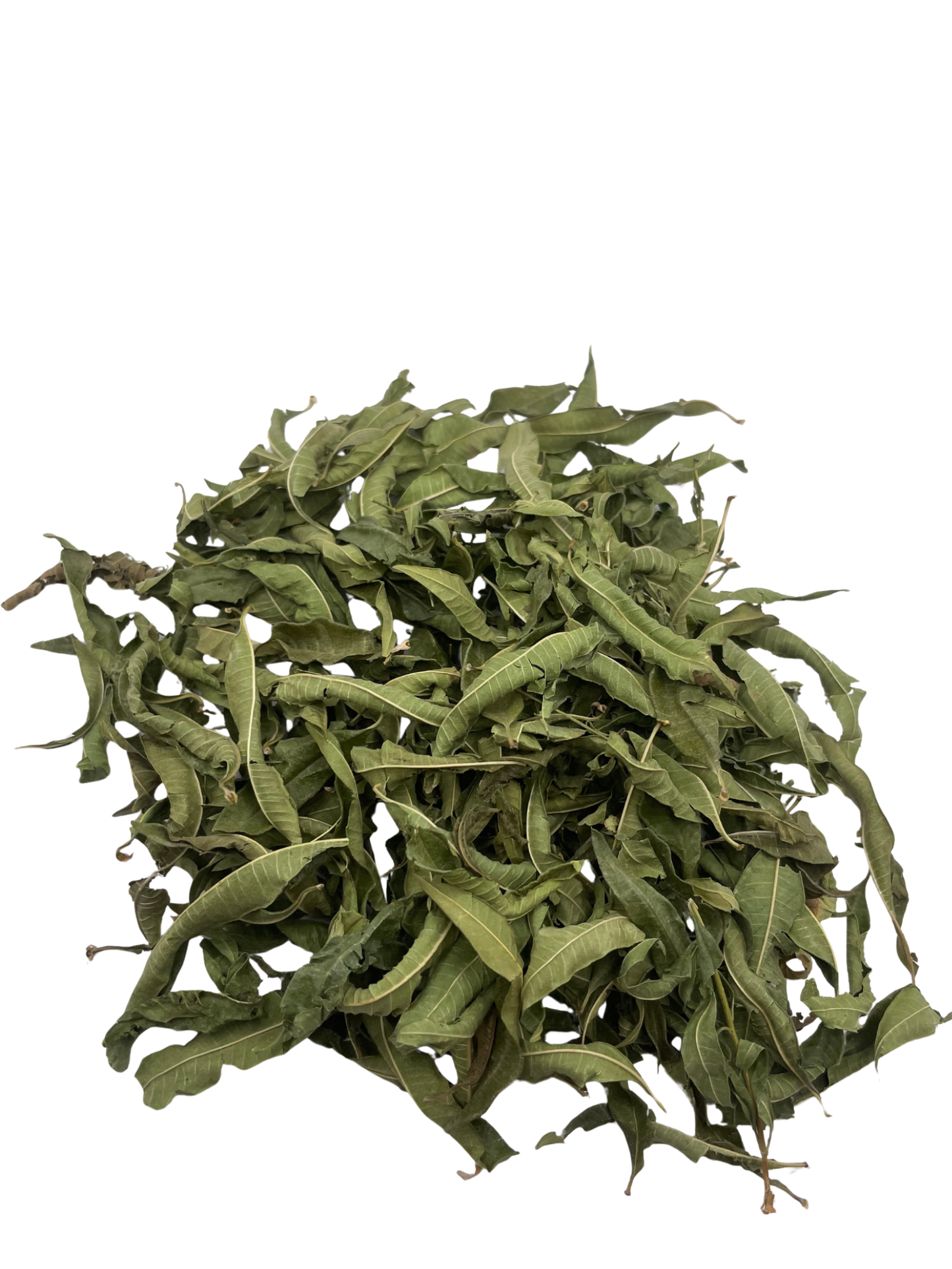 Verveine