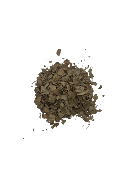 Sidr (Feuille de jujubier)