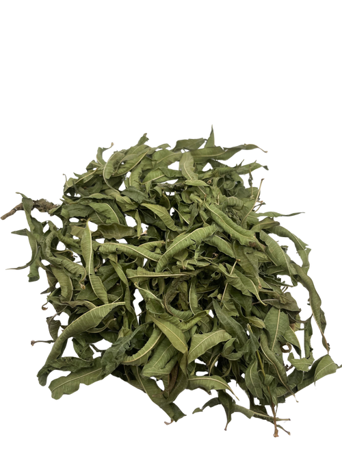 Verveine