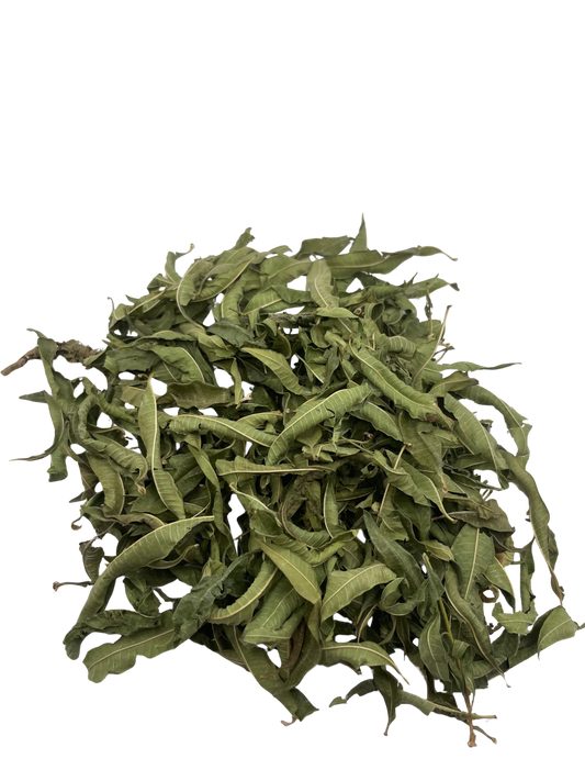 Verveine